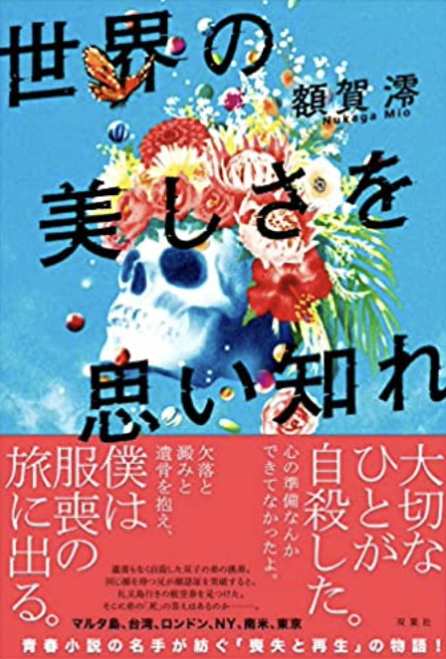 世界の美しさを思い知れ 書影