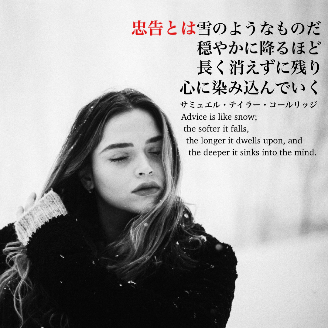 『その目で確かめて』2021/12/21 今日の架空書店のセレクトテーマ