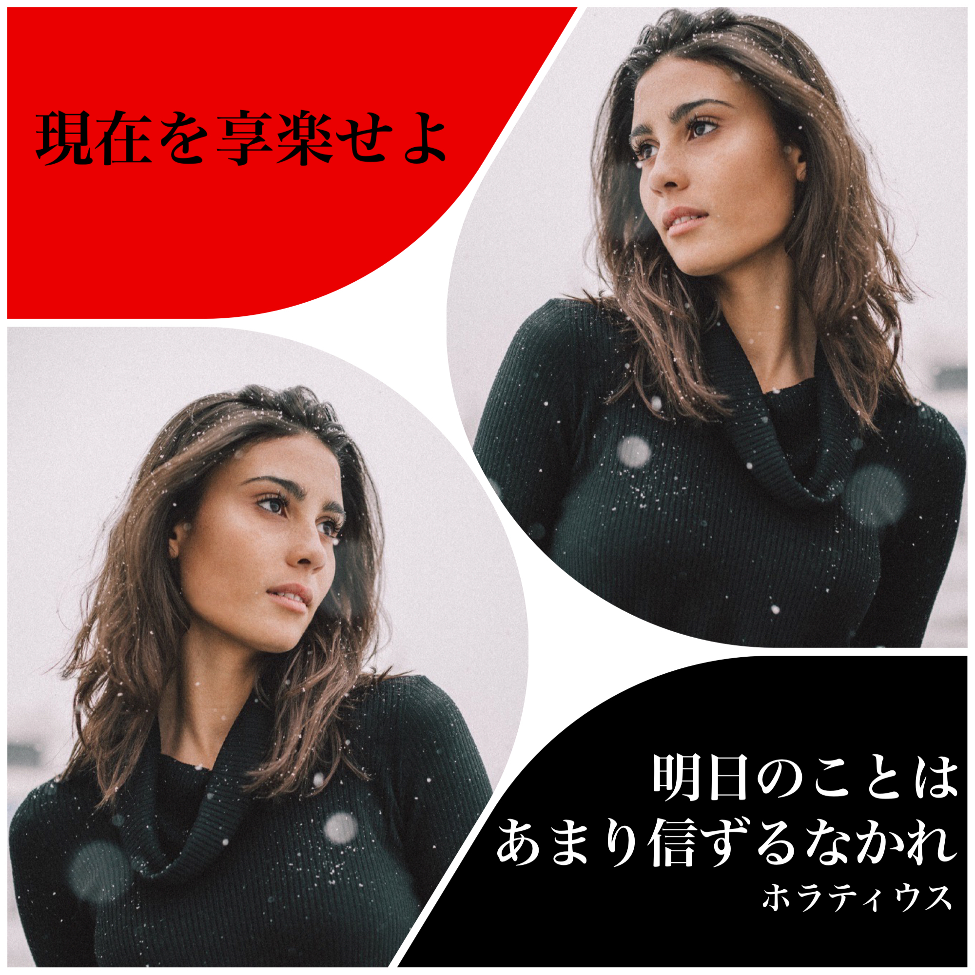 『なぜ？』 2021/12/18 今日の架空書店のセレクトテーマ