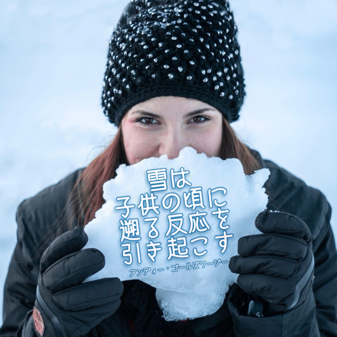 『ゆっくり考える』2021/12/15 今日の架空書店のセレクトテーマ