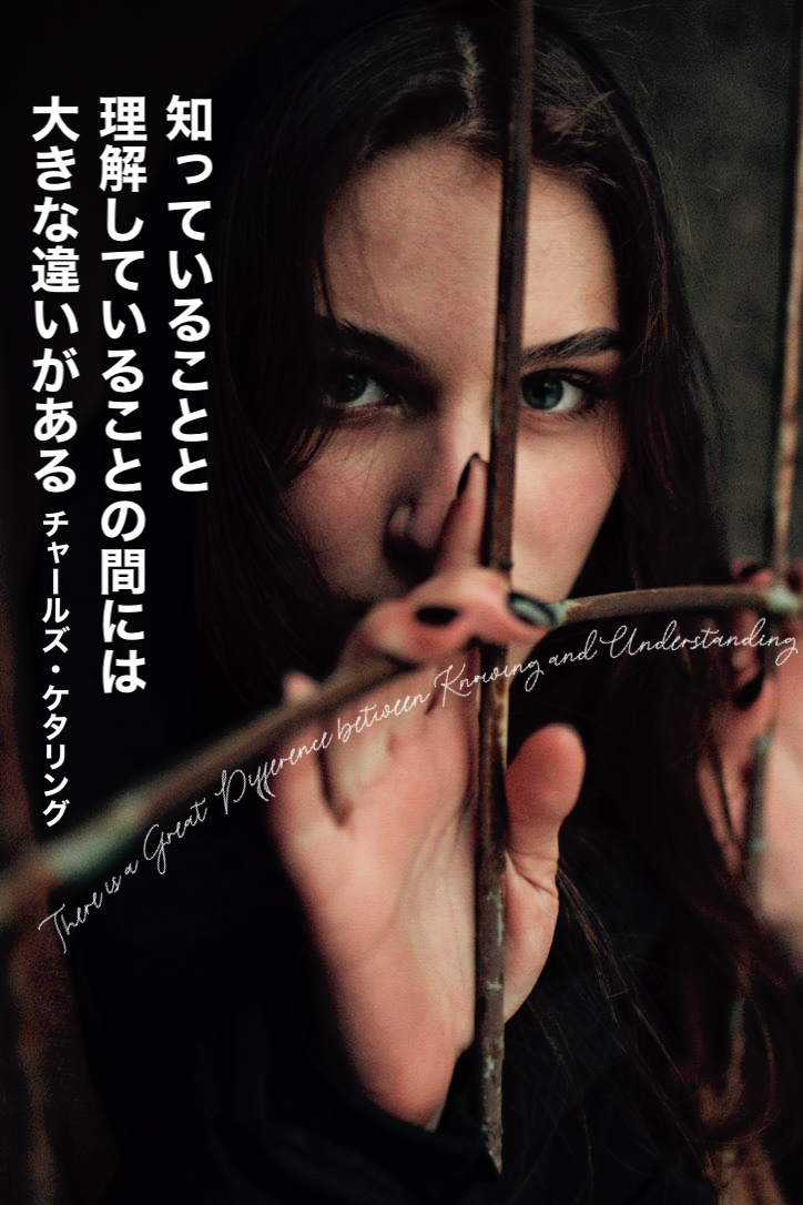 『Difference』2022/01/31 架空書店 今日のセレクトテーマ