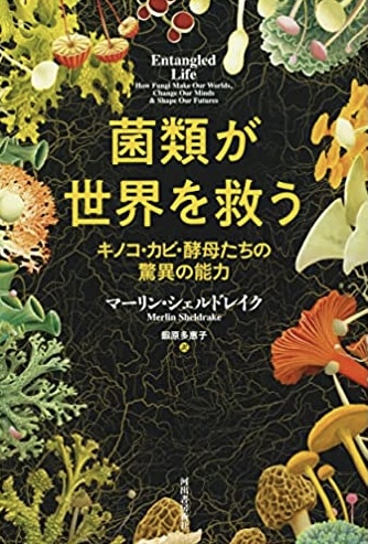 小さくても侮ることなかれ🦠菌類が世界を救う キノコ・カビ・酵母たちの驚異の能力 マーリン・シェルドレイク 河出書房新社 #架空書店220107①