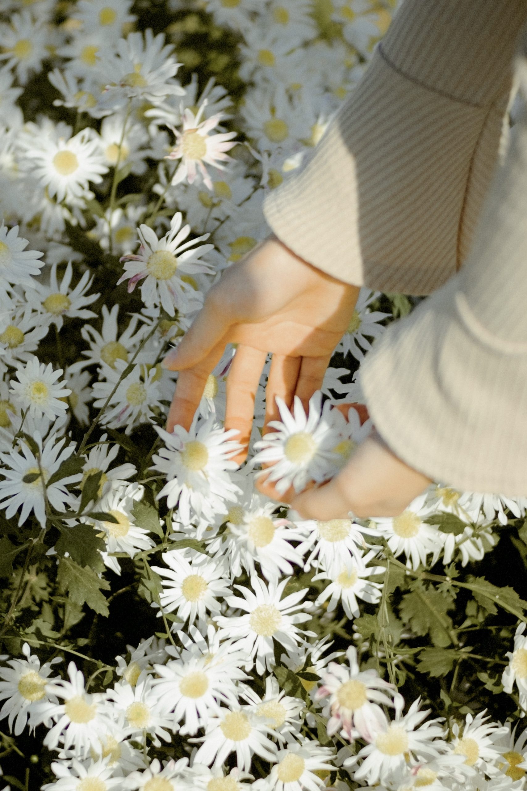 右利き先生と架空書店の「往復書簡」Season2 Vol.12