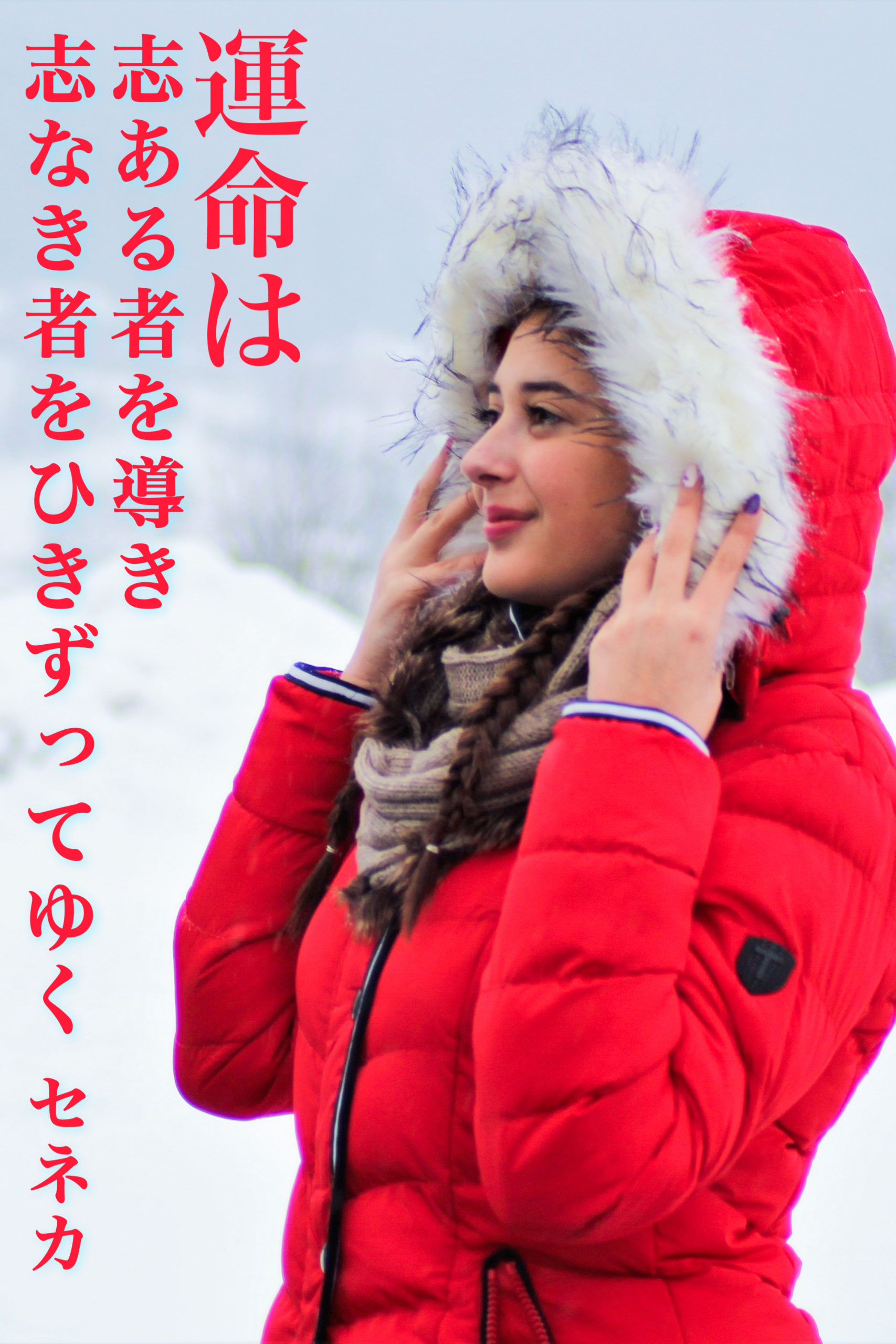 『幸福を求めゆく』2022/01/14 架空書店 今日のセレクトテーマ