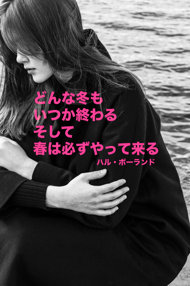 『春巡り来て』2022/02/20 架空書店 今日のセレクトテーマ