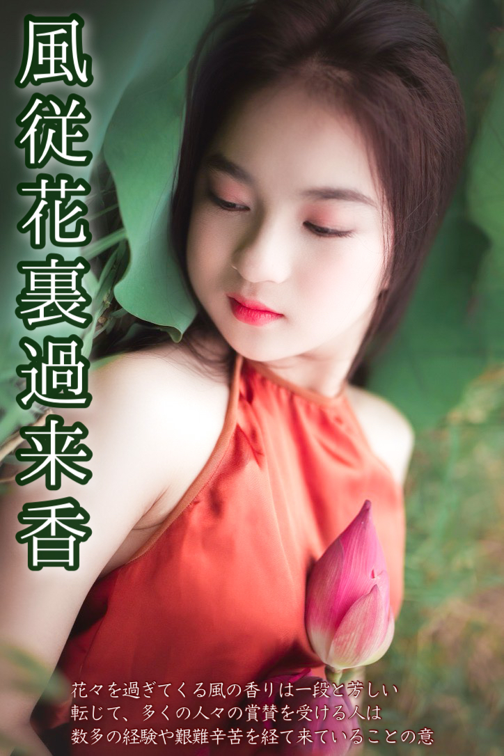 『内側と裏側』2022/03/30 架空書店 今日のセレクトテーマ