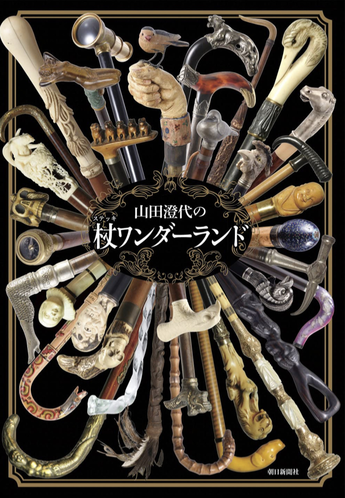 山田澄代の杖(ステッキ) ワンダーランド 山田澄代 朝日新聞出版