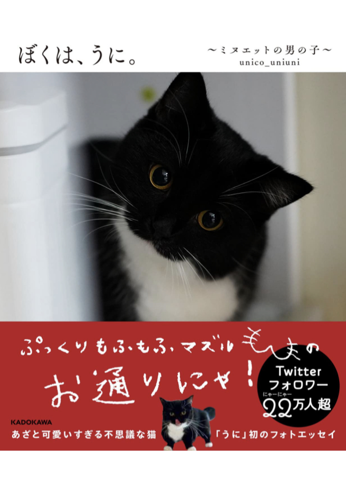 こんにちニャ～🐈‍⬛ぼくは、うに。ミヌエットの男の子 unico_uniuni KADOKAWA #架空書店 220406②