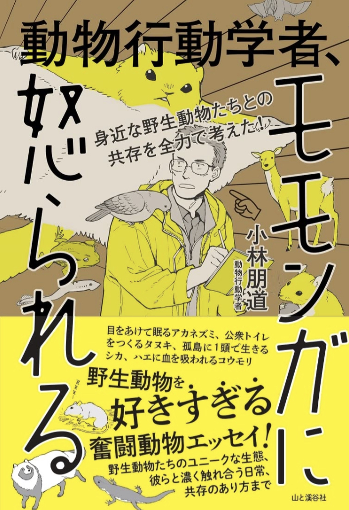 愛ゆえに🐅身近な野生動物たちとの共存を全力で考えた! 動物行動学者、モモンガに怒られる 小林朋道 山と渓谷社 #架空書店 220421③