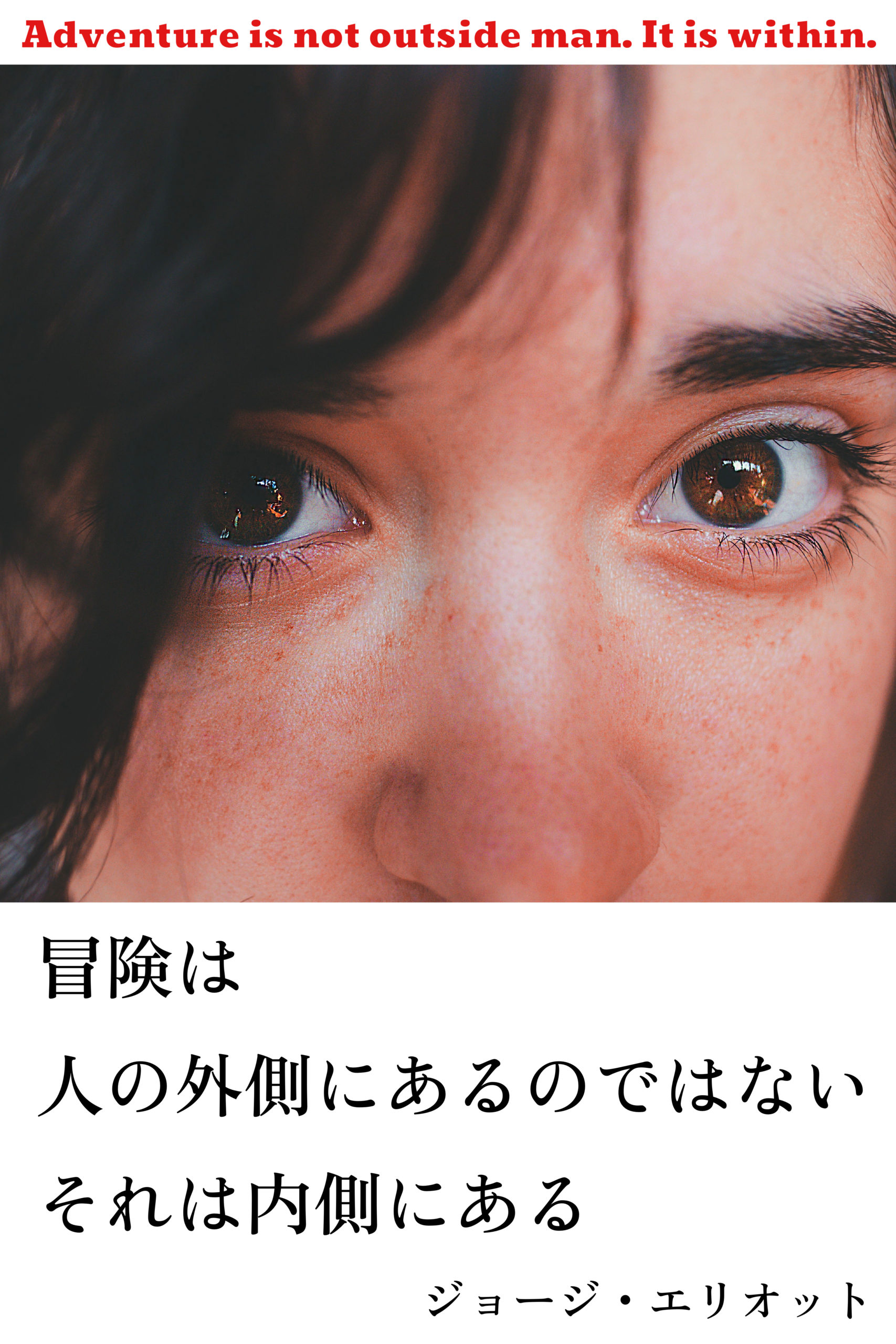 『冒険』2022/04/23 架空書店 今日のセレクトテーマ