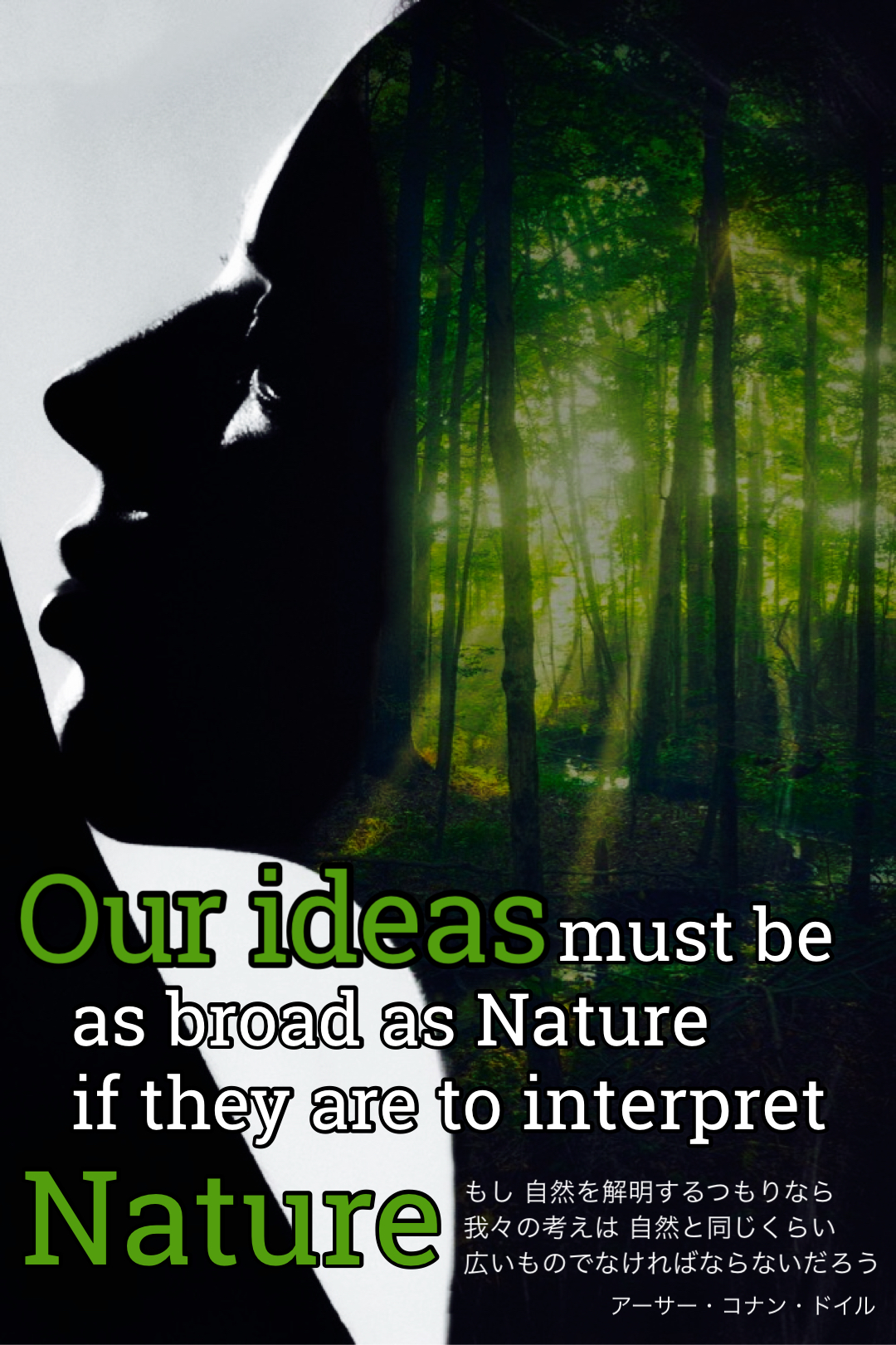 『解明する』2022/05/26 架空書店 今日のセレクトテーマ