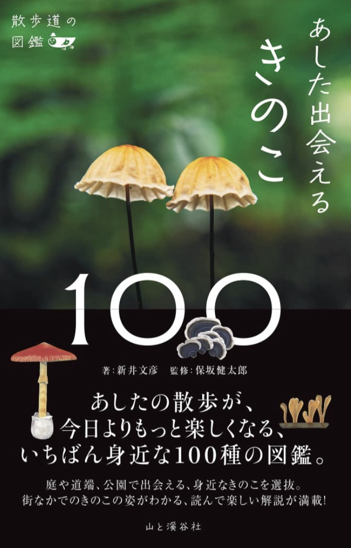 生えてる生えてる🍄散歩道の図鑑 あした出会えるきのこ100 新井文彦 山と渓谷社 #架空書店 220611⑥