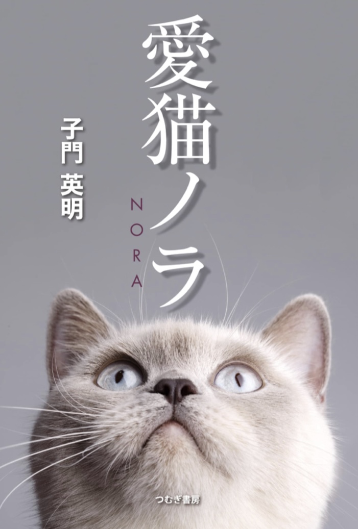 やっぱりかわいい 😻愛猫ノラ 子門英明 つむぎ書房 #架空書店 220617⑤