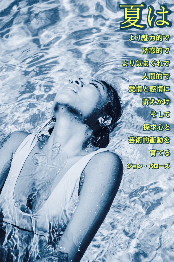 『この夏』2022/07/05 架空書店 今日のセレクトテーマ