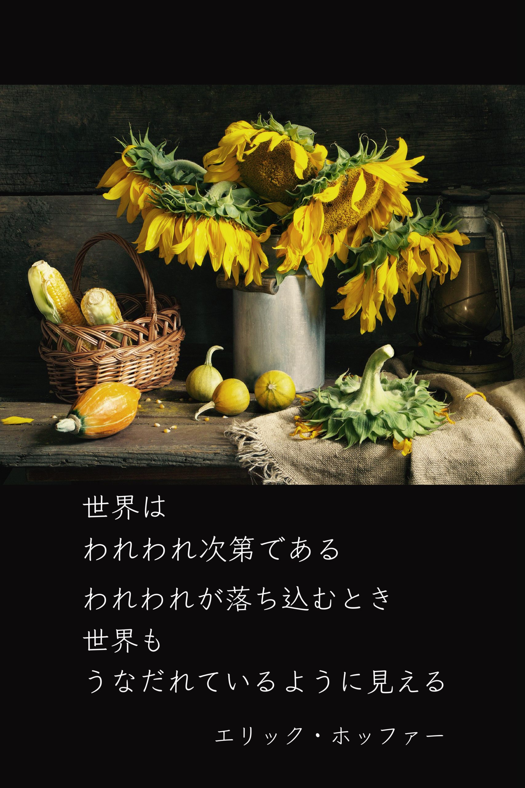 『世界を見渡す』2022/07/17 架空書店 今日のセレクトテーマ