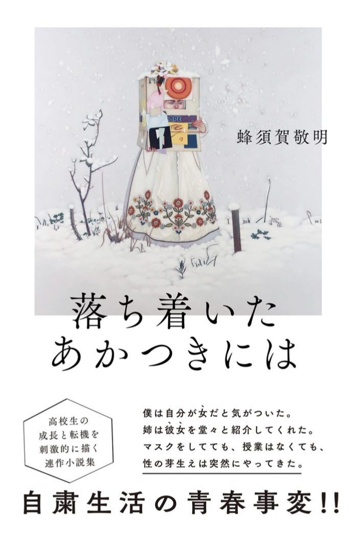 やれやれ 😩落ち着いたあかつきには 蜂須賀 敬明 双葉社 #架空書店220725④