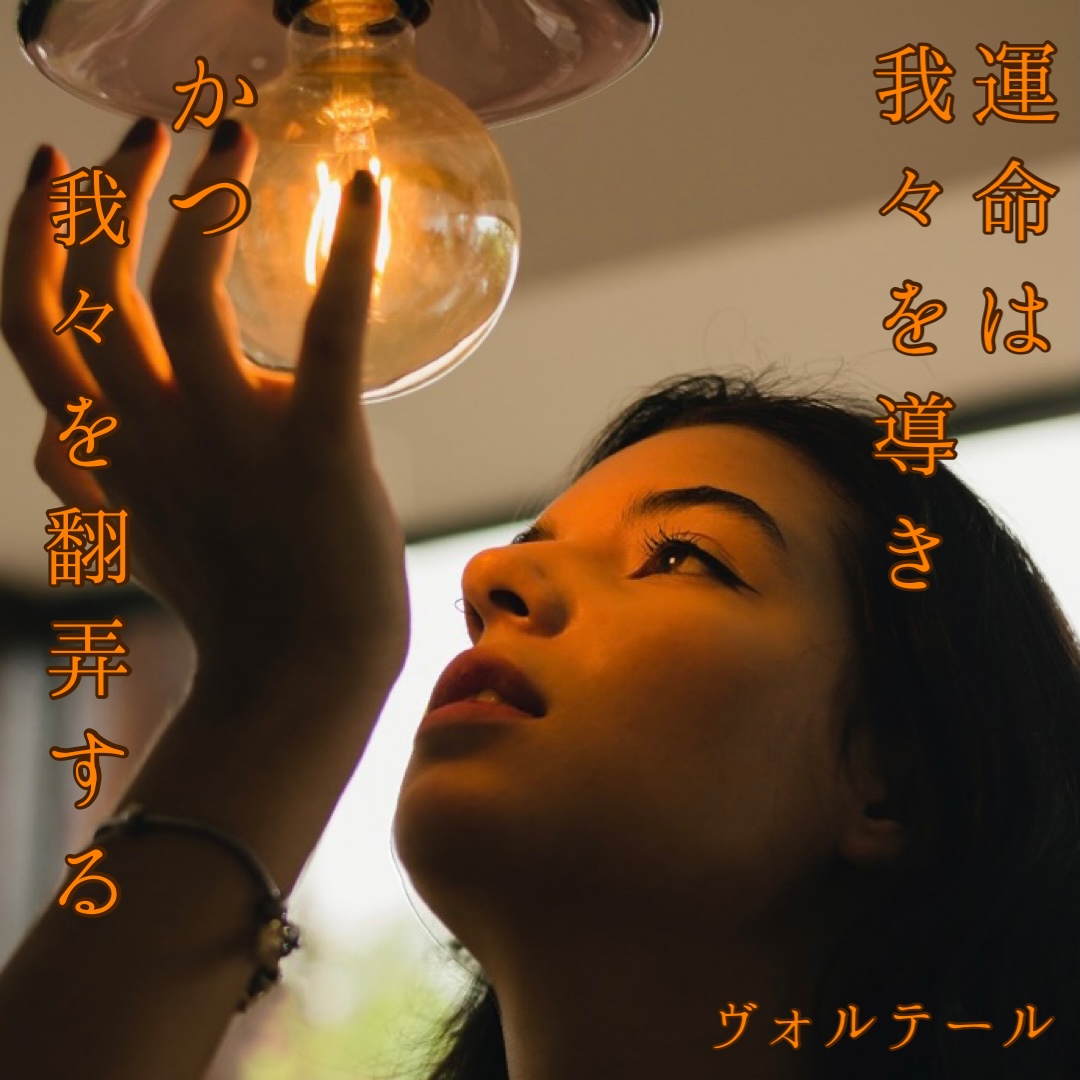 『翻弄と奔走』2022/08/23 架空書店 今日のセレクトテーマ