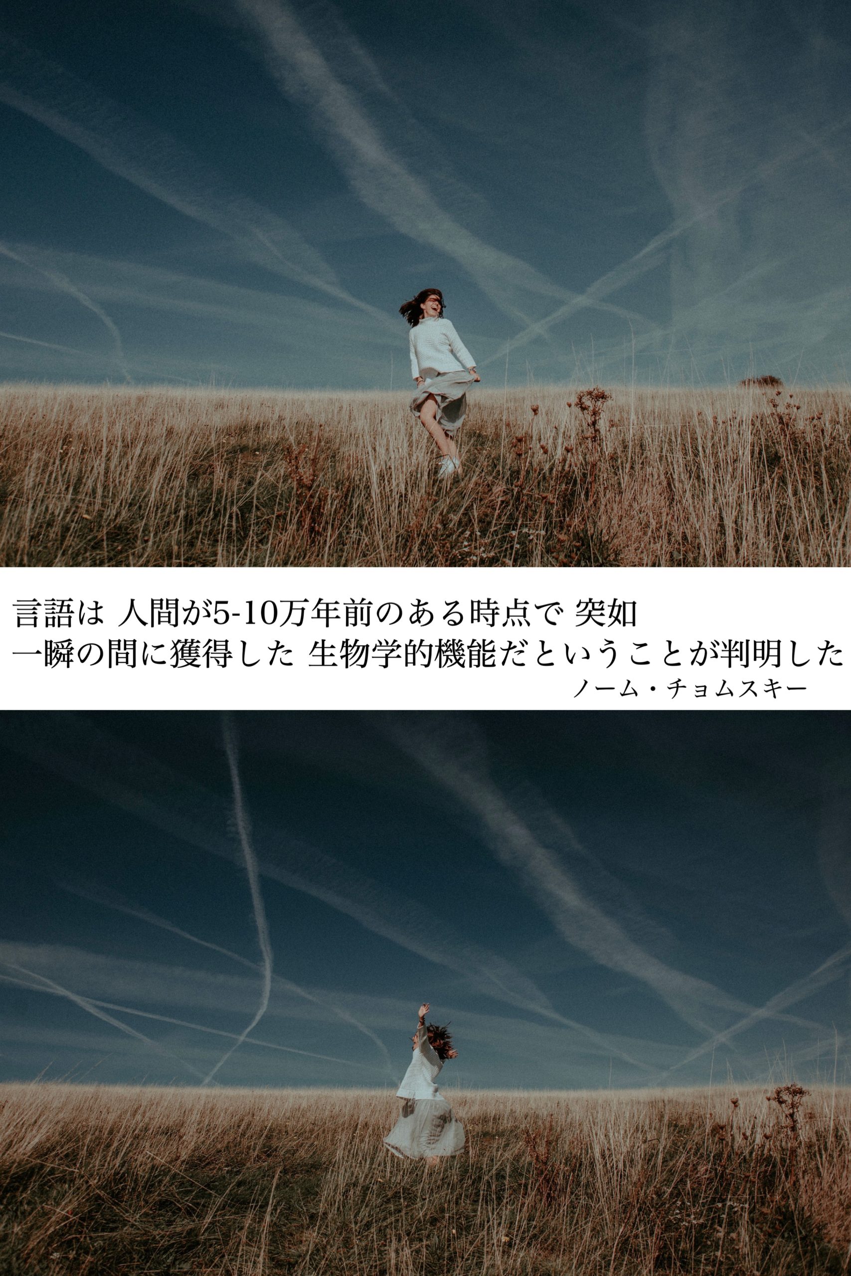 『諸々判明』2022/09/05 架空書店 今日のセレクトテーマ