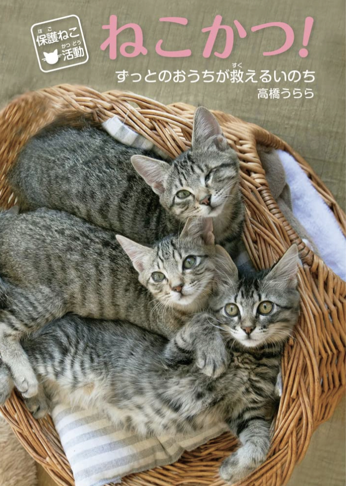 やっぱりかわいいッ🐈保護ねこ活動 ねこかつ！ずっとのおうちが救えるいのち 高橋 うらら 岩崎書店 #架空書店 220930③