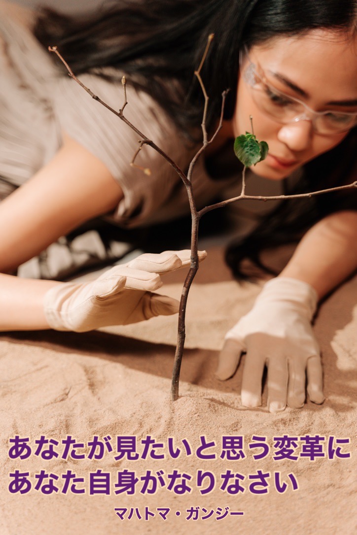 『今一度 見直してみる』2022/10/09 架空書店 今日のセレクトテーマ