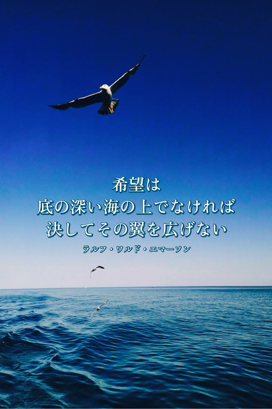 『The Bottom』2022/10/06 架空書店 今日のセレクトテーマ