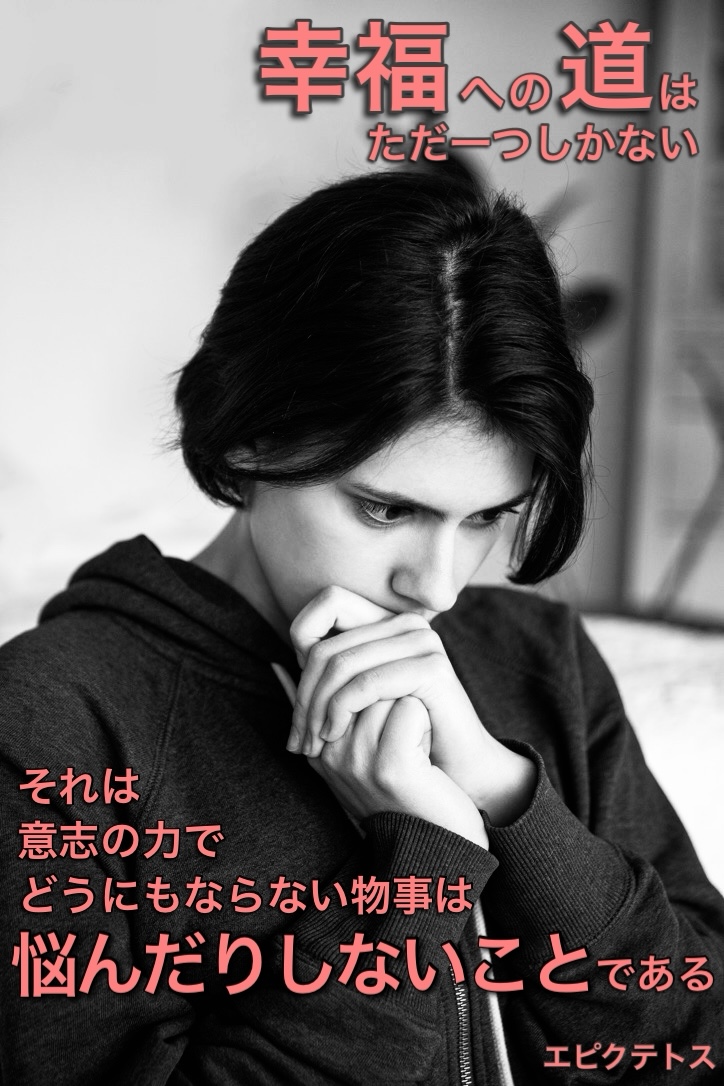 『幸福への道』2022/11/26 架空書店 今日のセレクトテーマ