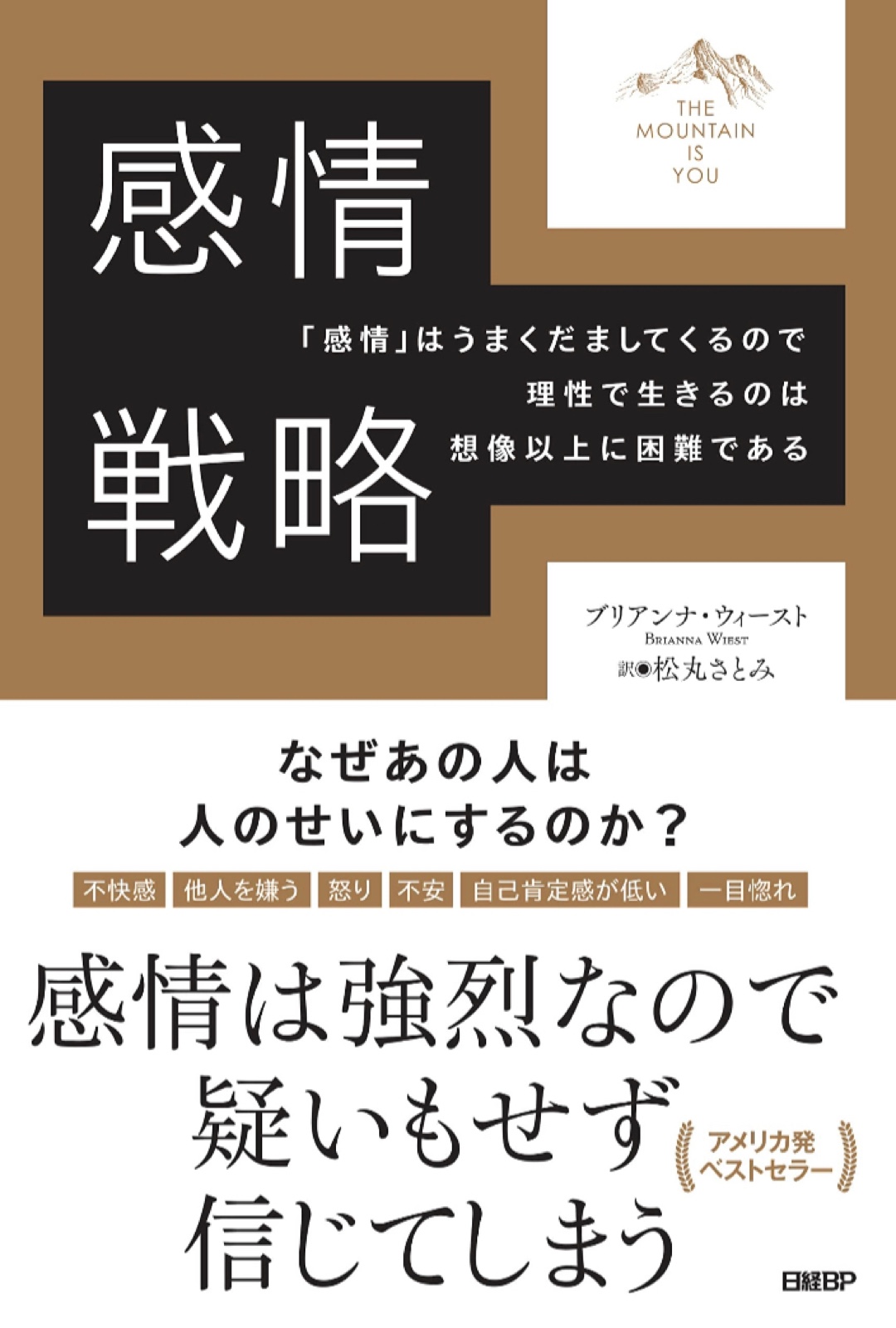 平静を保つ📊感情戦略 ブリアンナ・ウィースト 日経BP #架空書店 221218④