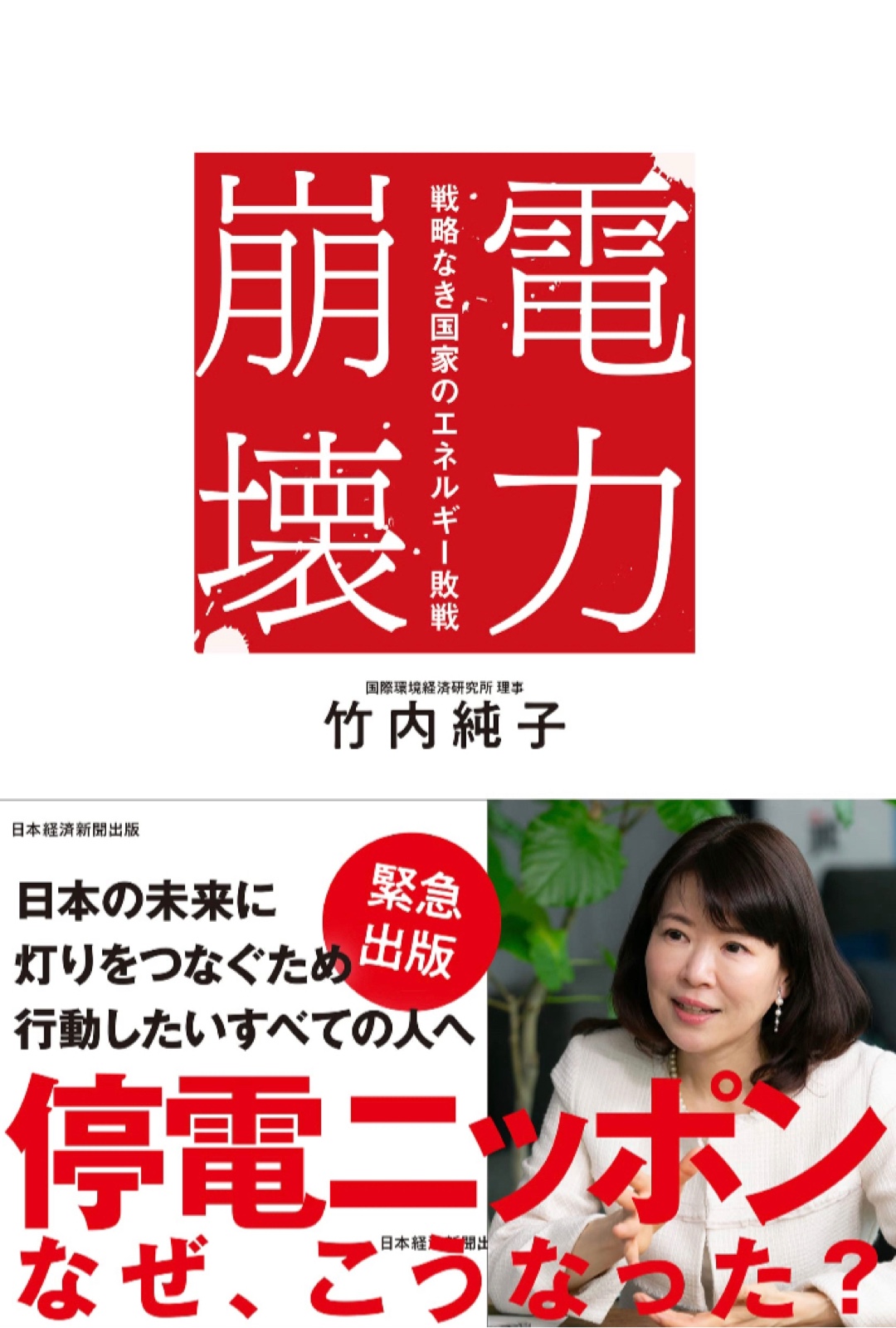 ここから瓦解🚥電力崩壊 戦略なき国家のエネルギー敗戦 竹内純子 日本経済新聞出版 #架空書店 221216⑥