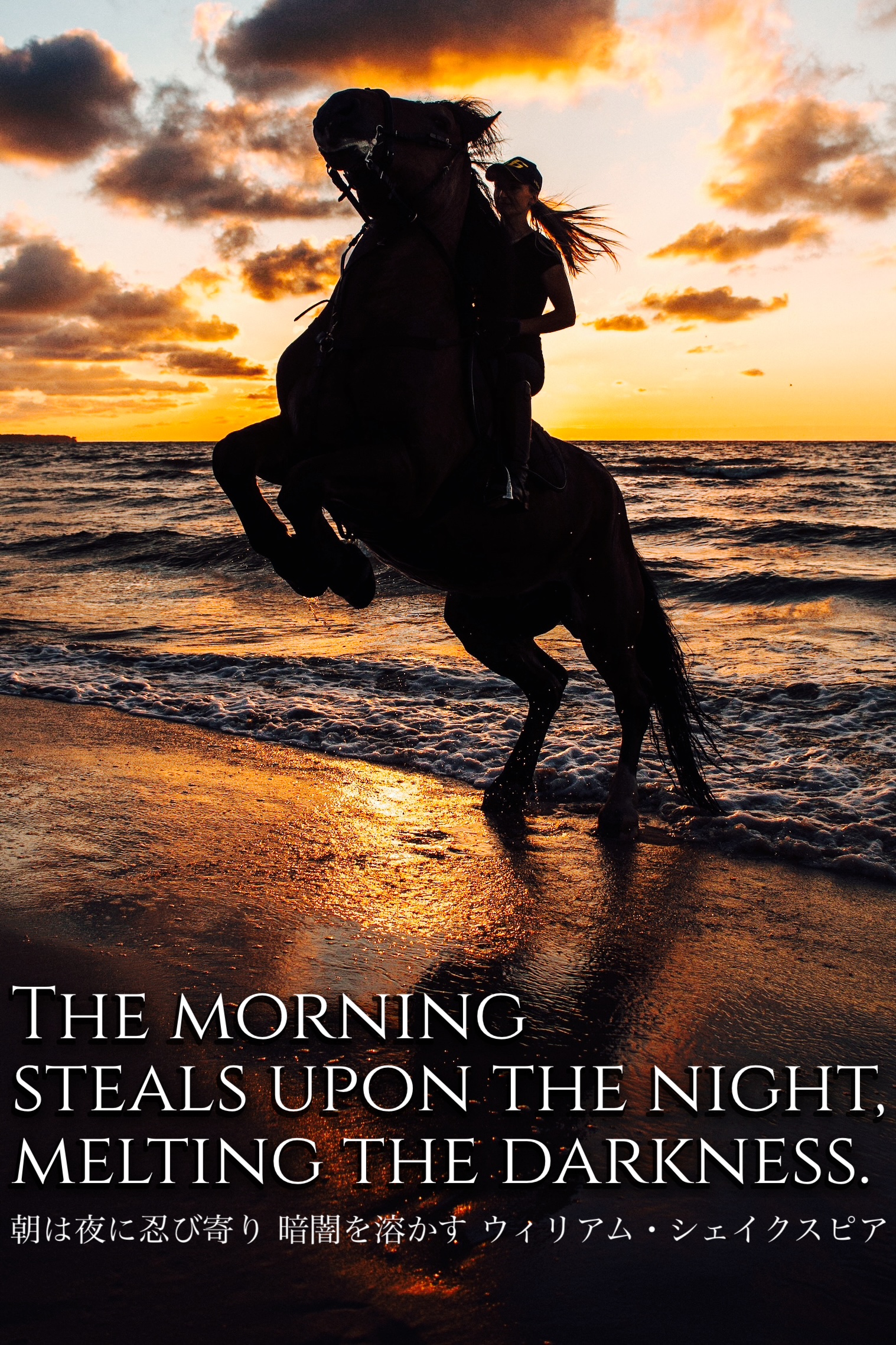 『忍び寄る』2022/12/18 架空書店 今日のセレクトテーマ