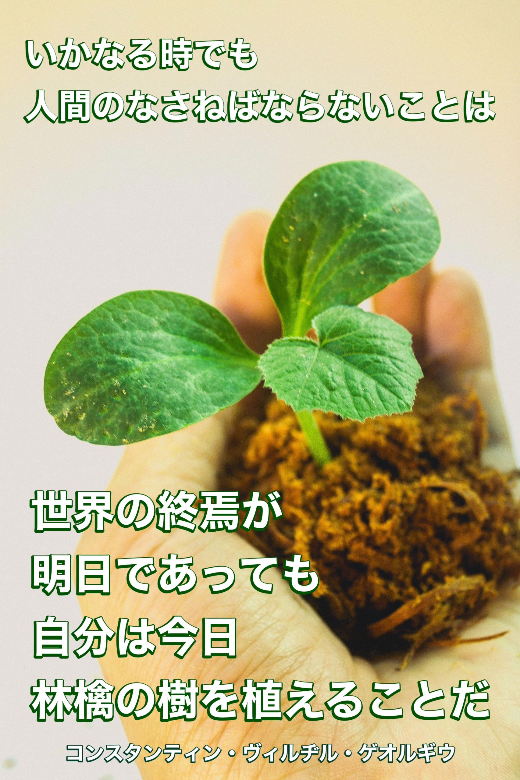 『終焉』2022/12/27 架空書店 今日のセレクトテーマ