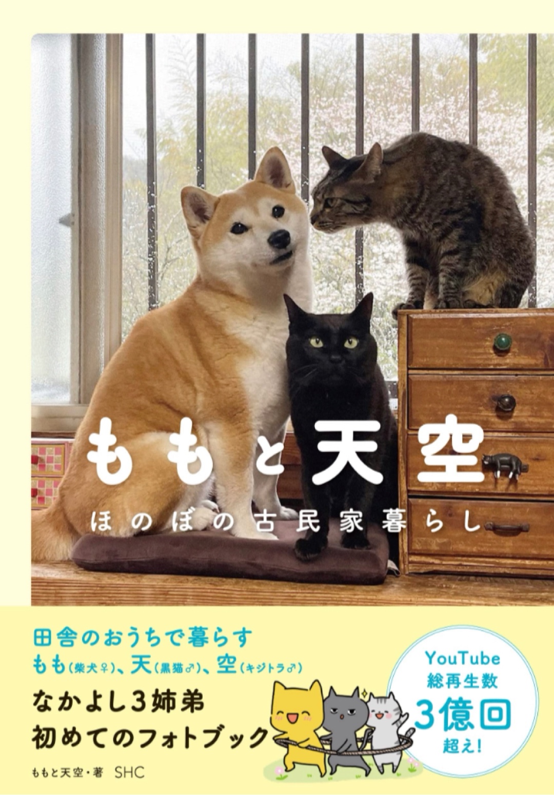 ニャ～～ン😽ももと天空 ほのぼの古民家暮らし ももと天空 産業編集センター #架空書店 221213⑤