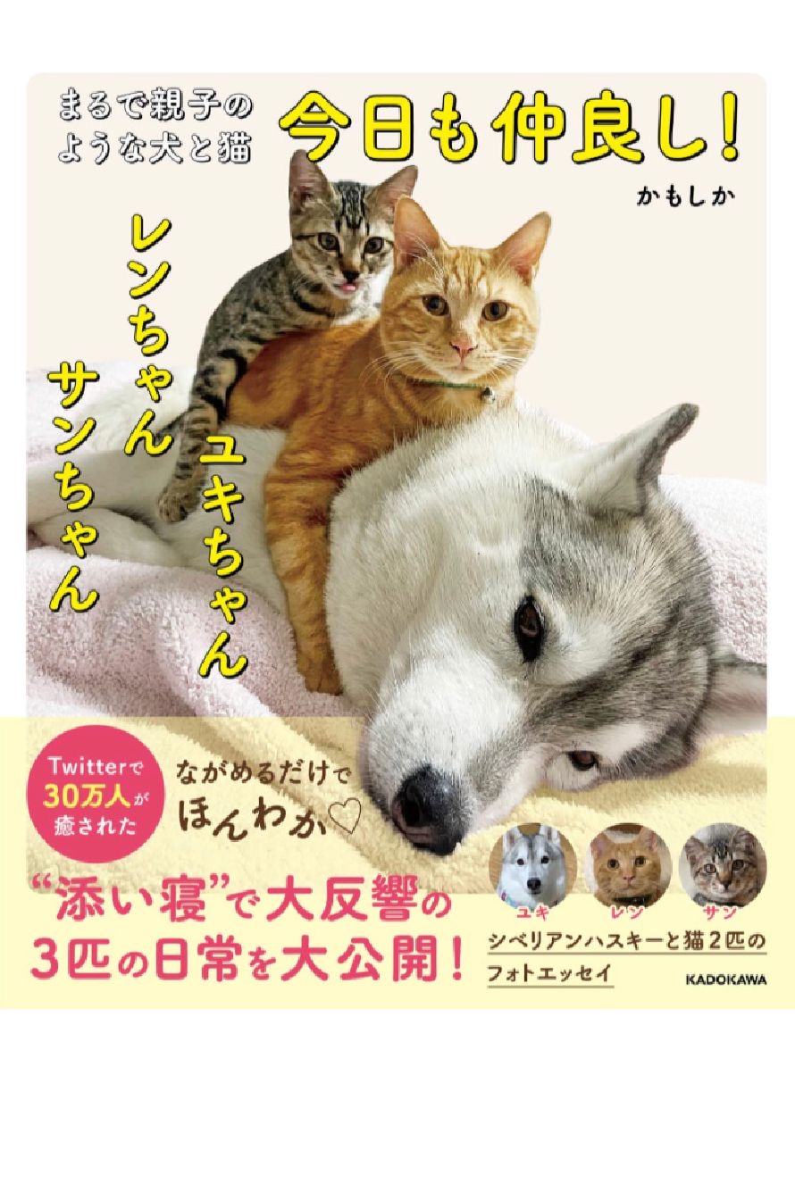 今日もぐっすり😽まるで親子のような犬と猫 今日も仲良し! ユキちゃん レンちゃん サンちゃん かもしか KADOKAWA #架空書店 230110⑦