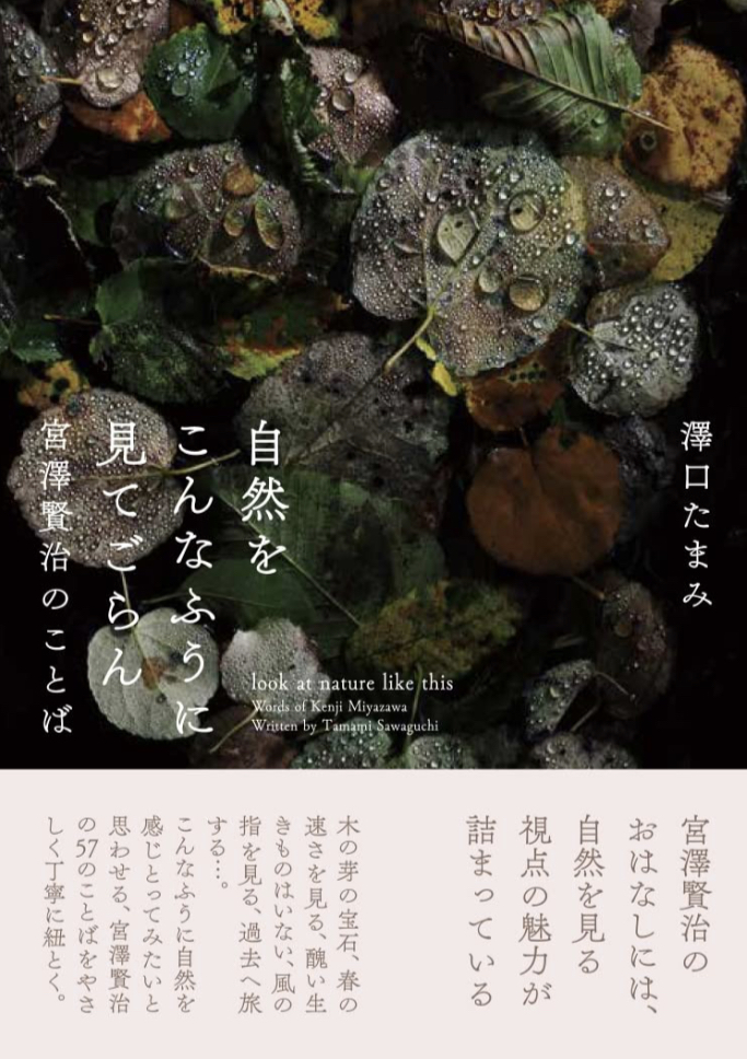 聞こえる？🍁自然をこんなふうに見てごらん 宮澤賢治のことば 澤口 たまみ 山と渓谷社 #架空書店 230125⑤