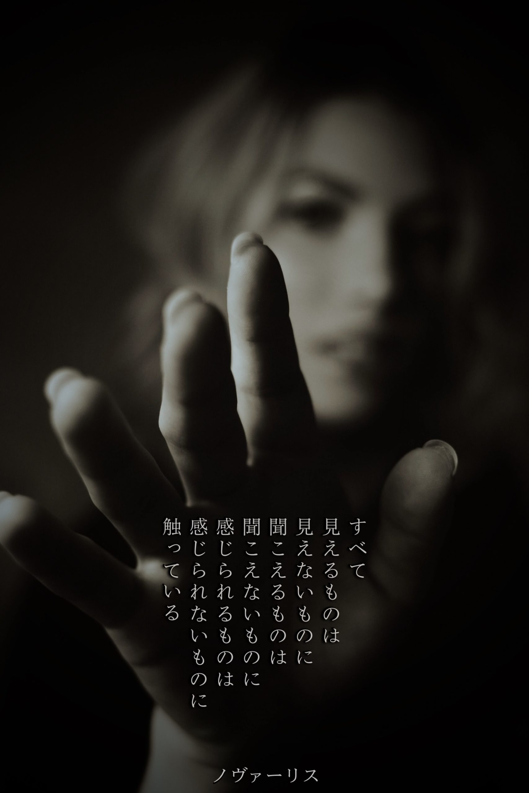 『見える見えない』2023/01/30 架空書店 今日のセレクトテーマ