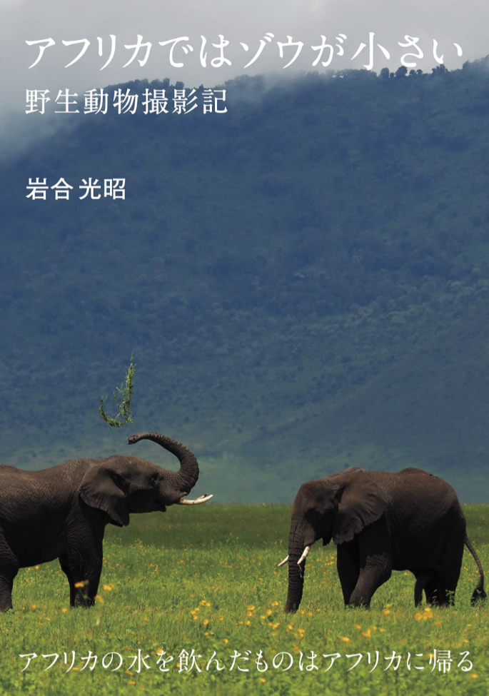 見え方が変わる🐘アフリカではゾウが小さい 野生動物撮影記 岩合 光昭 毎日新聞出版 #架空書店 230206④