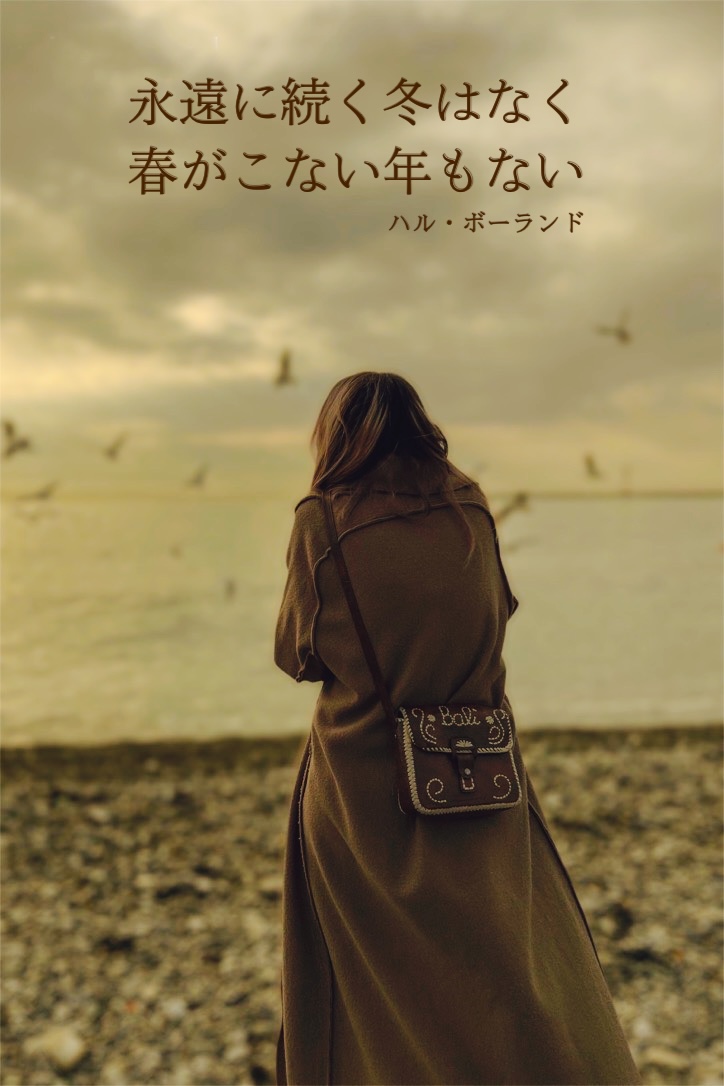 『冬と春』2023/02/10 架空書店 今日のセレクトテーマ
