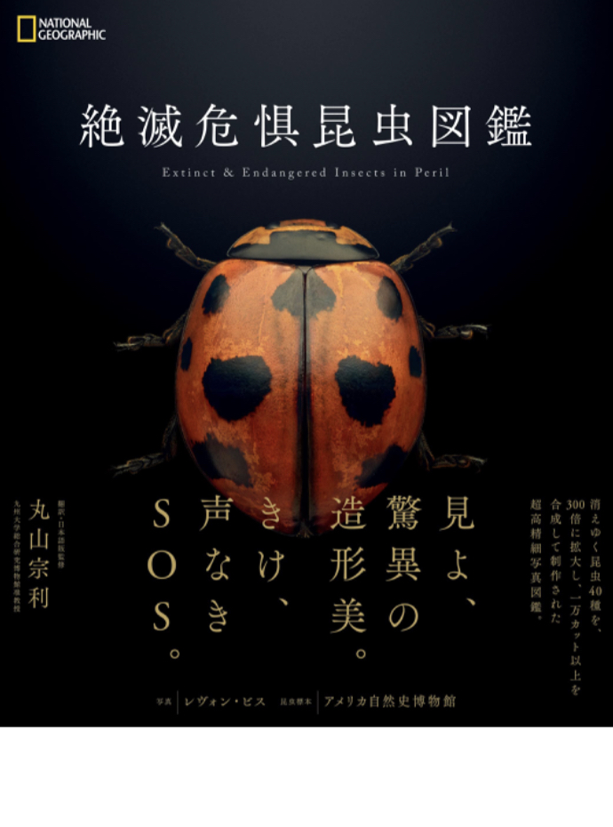意外と多いぞ🐞絶滅危惧昆虫図鑑 レヴォン・ビス 日経ナショナルジオグラフィック #架空書店 230327③