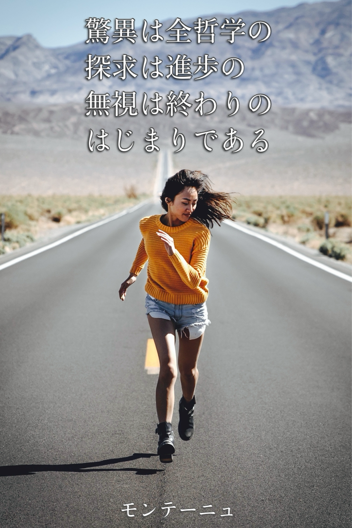 『驚異と震撼』2023/03/29 架空書店 今日のセレクトテーマ