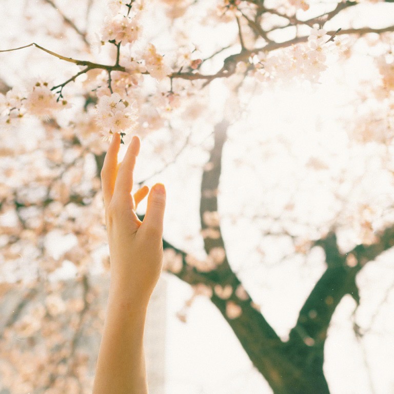 右利き先生と架空書店の「往復書簡」Season3 Vol.12