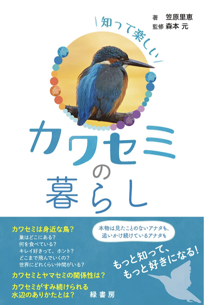 かわいいッ🪽知って楽しいカワセミの暮らし 笠原 里恵 緑書房 #架空書店 230402③