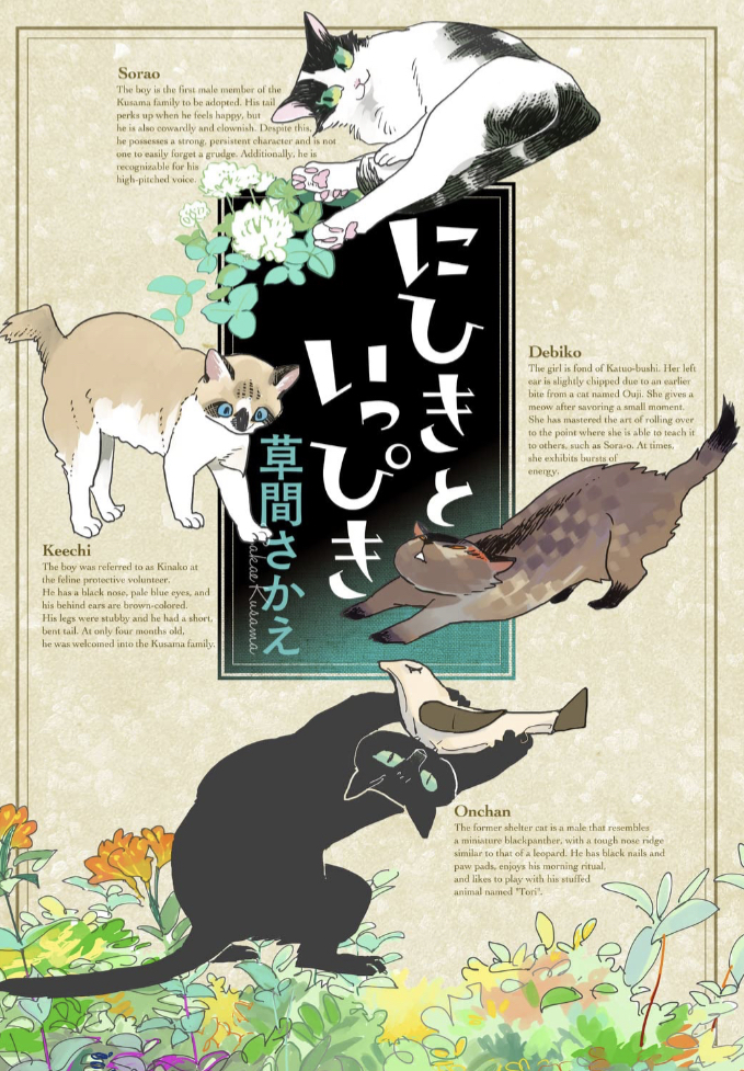 和むニャ～😽にひきといっぴき 草間 さかえ KADOKAWA #架空書店 230426④