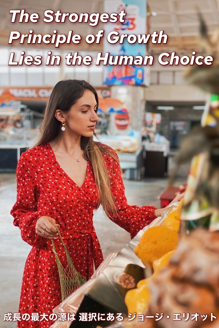 『異なる選択肢』2023/04/09 架空書店 今日のセレクトテーマ