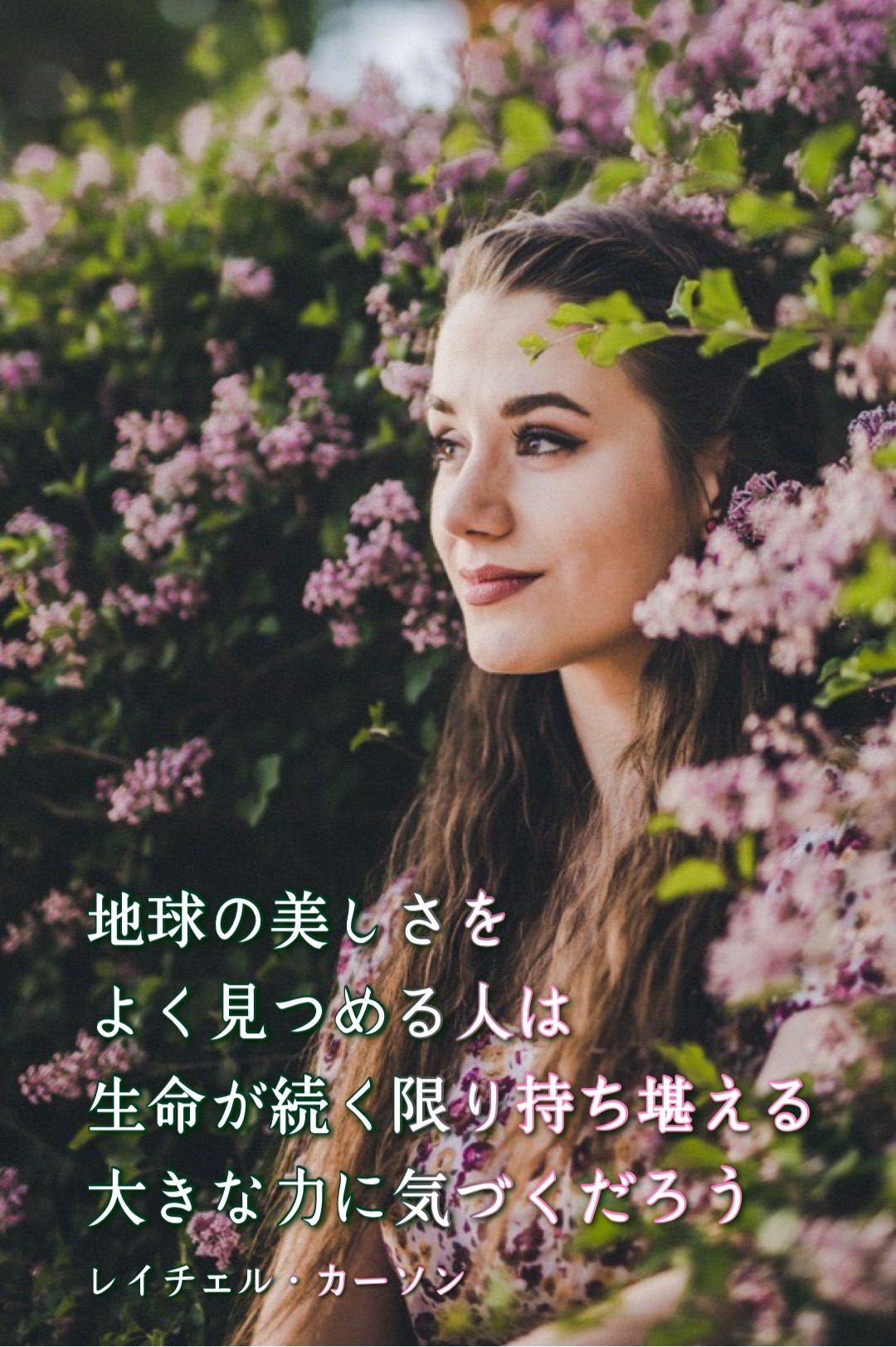 『つづく生命』2023/04/02 架空書店 今日のセレクトテーマ