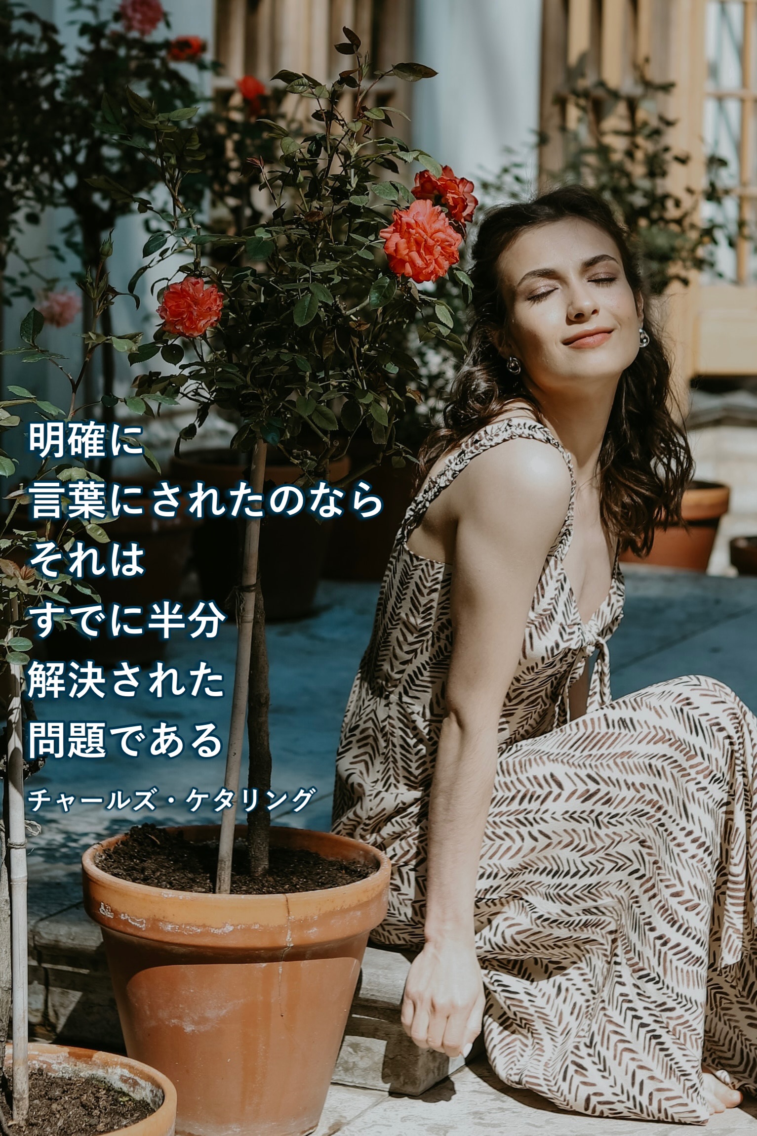 『明確』2023/05/31 架空書店 今日のセレクトテーマ