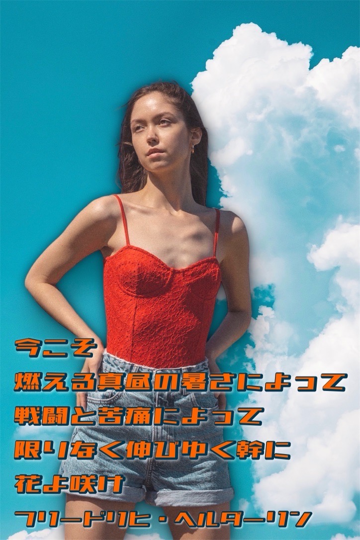 『暑い&熱い』2023/07/19 架空書店 今日のセレクトテーマ