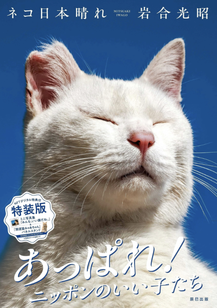 可愛い🐈⬛ネコ日本晴れ NFTデジタル特典付特装版 岩合光昭 辰巳出版 #架空書店 230827②