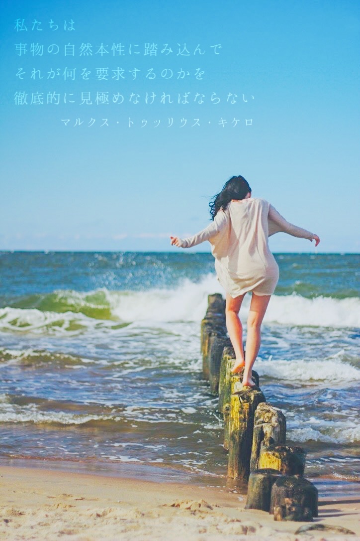 『踏み込む』2023/08/26 架空書店 今日のセレクトテーマ