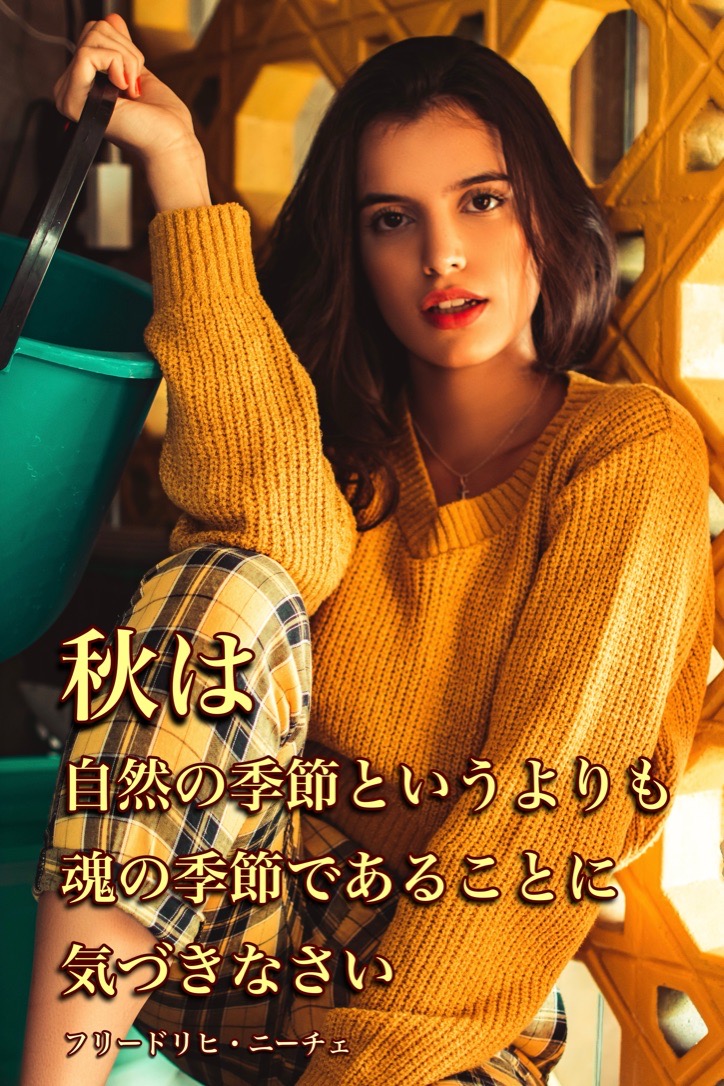 『秋への思い』2023/09/27 架空書店 今日のセレクトテーマ