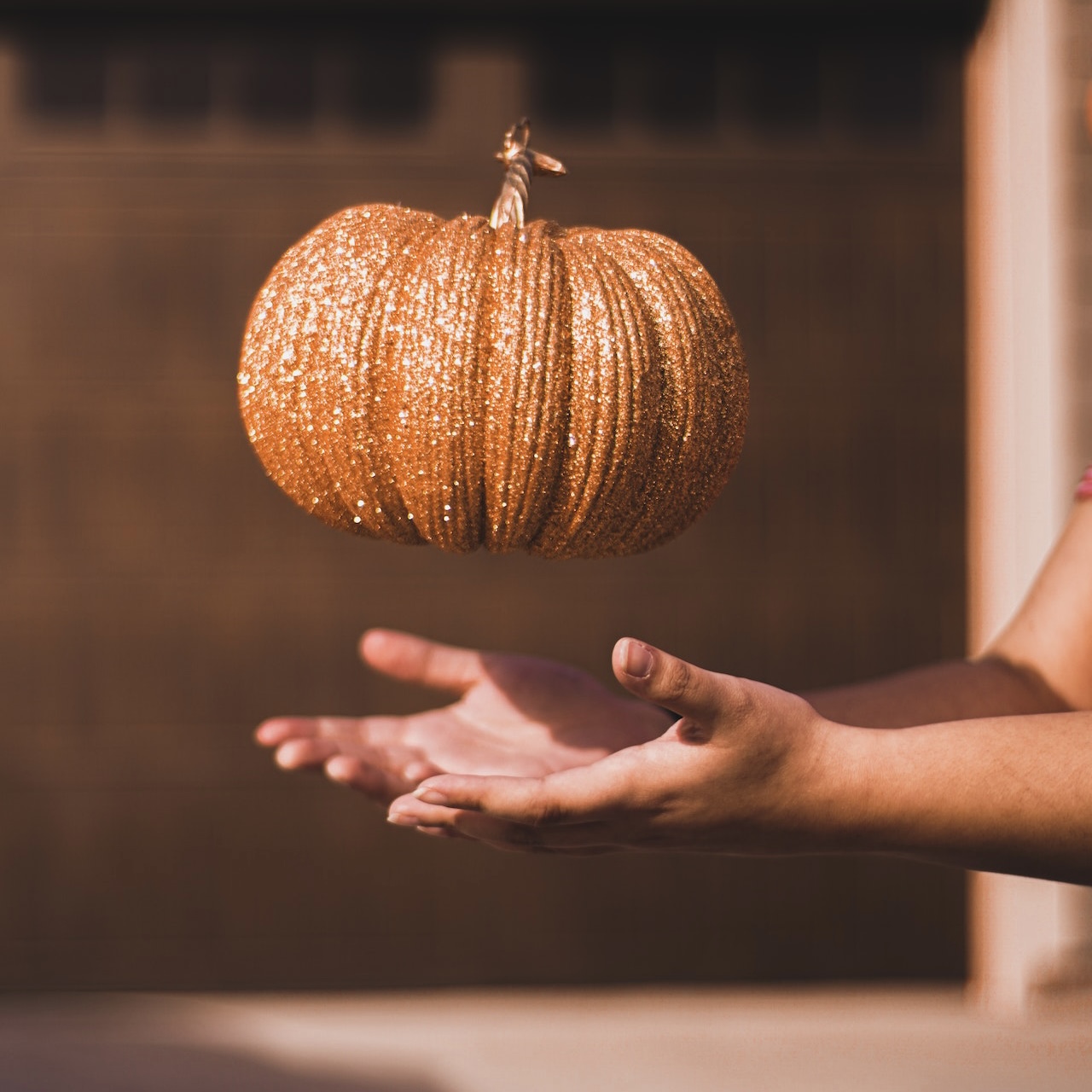 右利き先生と架空書店の「往復書簡」Season3 Vol.32