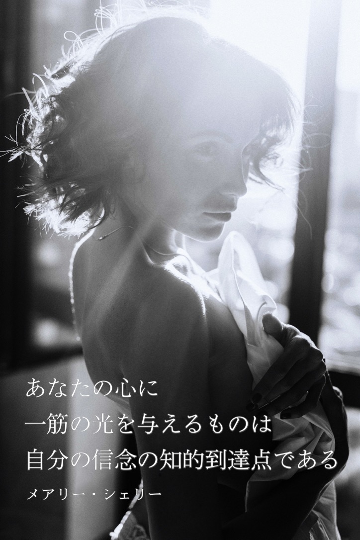 『一筋の光』2023/10/02 架空書店 今日のセレクトテーマ